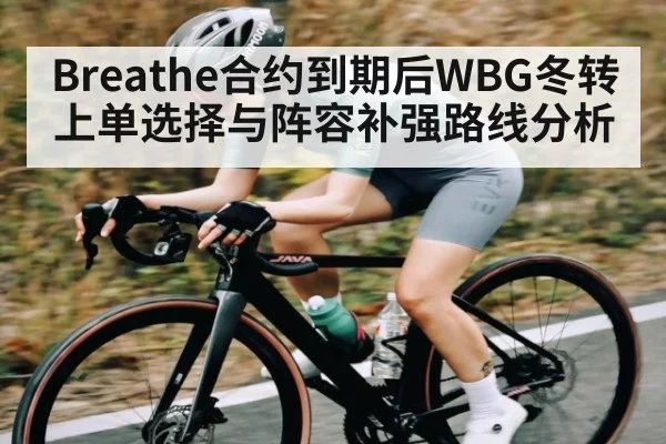 Breathe合约到期后WBG冬转上单选择与阵容补强路线分析