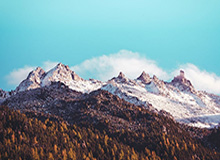 云开体育官网-德国队遭遇百年惨案之后：走回头路or彻底向前看？